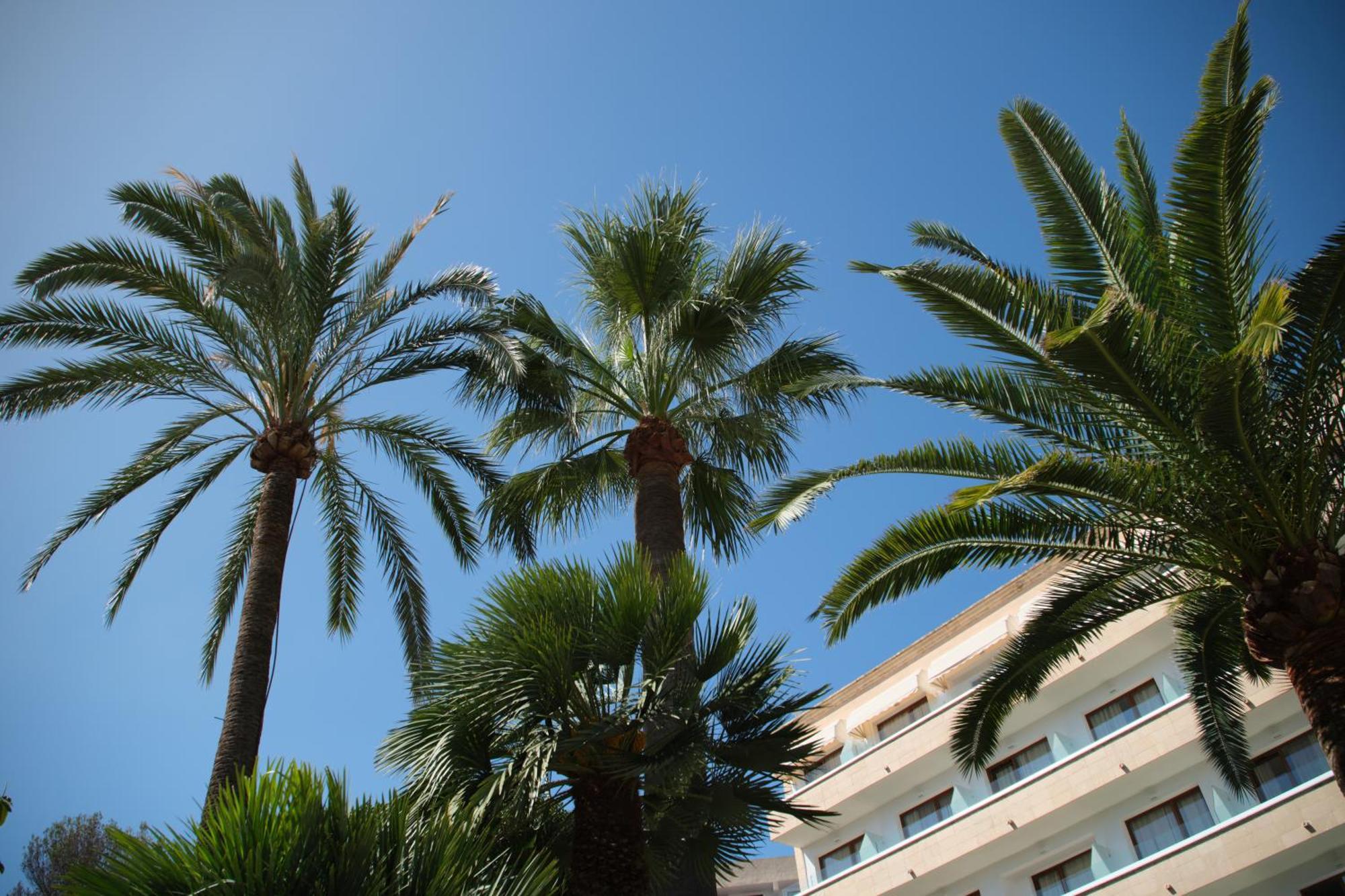 Hotel Son Caliu Spa Oasis Palmanova Exteriér fotografie